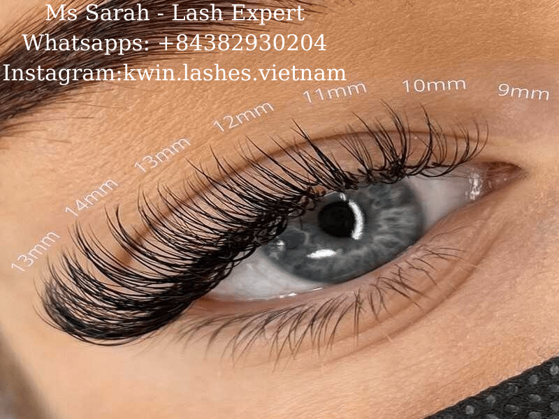 Differences Between Classic Lashes and Volume Lashes
