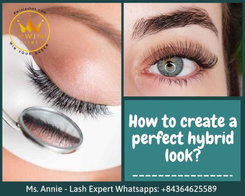 Hybrid lash extension - How to make a perfect hybrid look? - Kwin Lashes