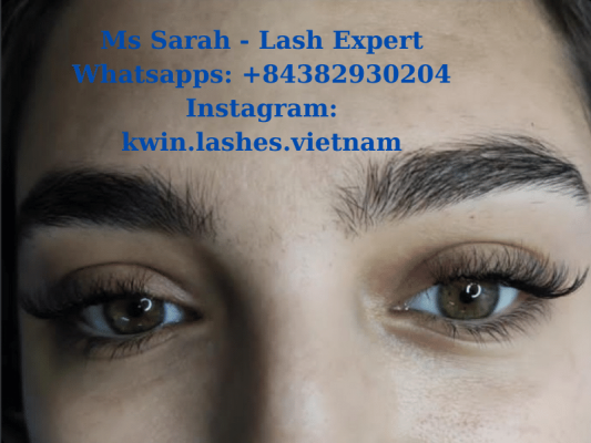 types of lashes extensions for customers