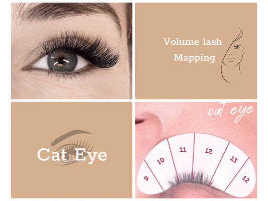 A Quick Guide To Volume Lash Mapping You Should Not Ignore