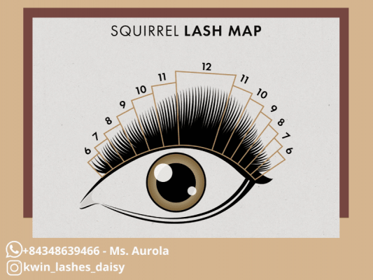 Volume lash mapping for squirrel