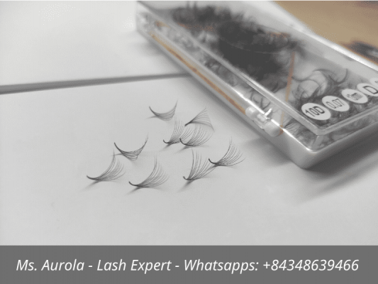 Camellia Eyelash Extensions of Kwin Lashes Company