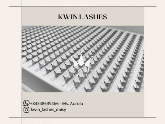 Premade volume fans of Kwin Lashes