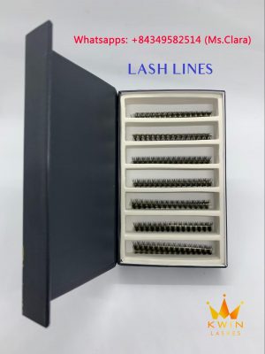 Classic lash mapping to purchase in Vietnam