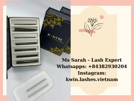 Introduce 4 types of lashes extensions