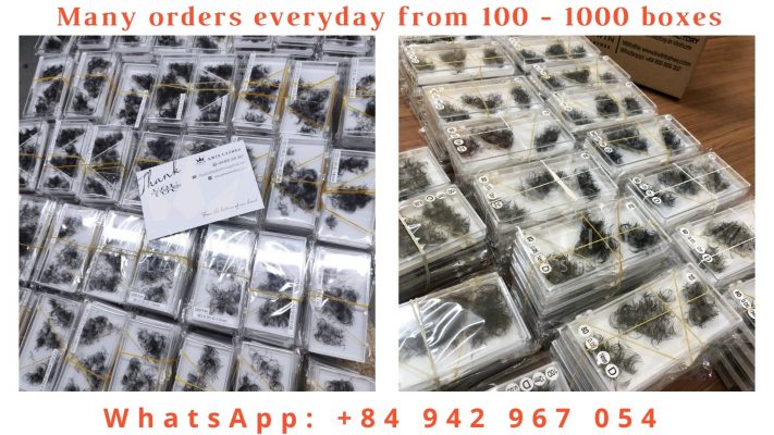 eyelash extension supplier