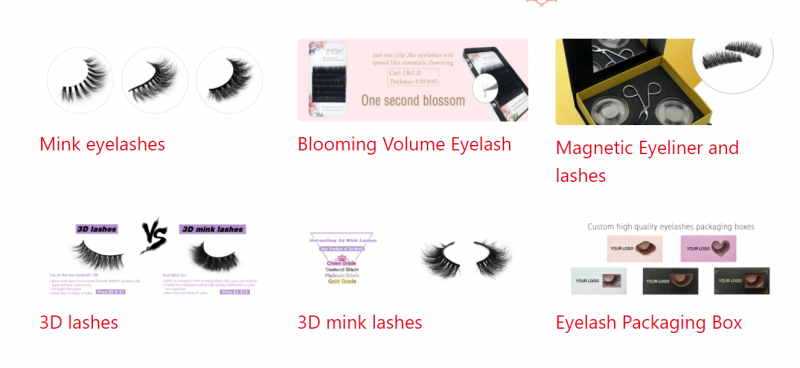 eyelash extension supplier
