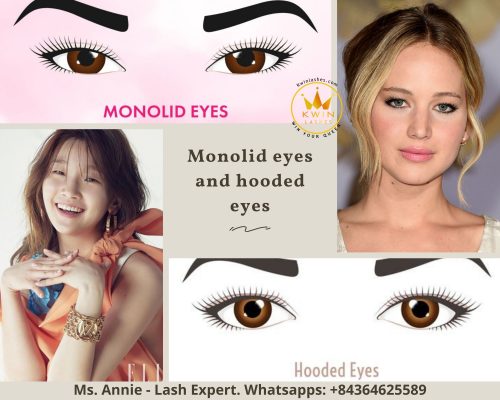 Monolid eyes and hooded eyes