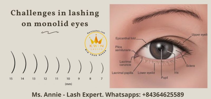 Challenges in lashing on monolid eyes