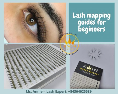 Lash mapping guides for beginners