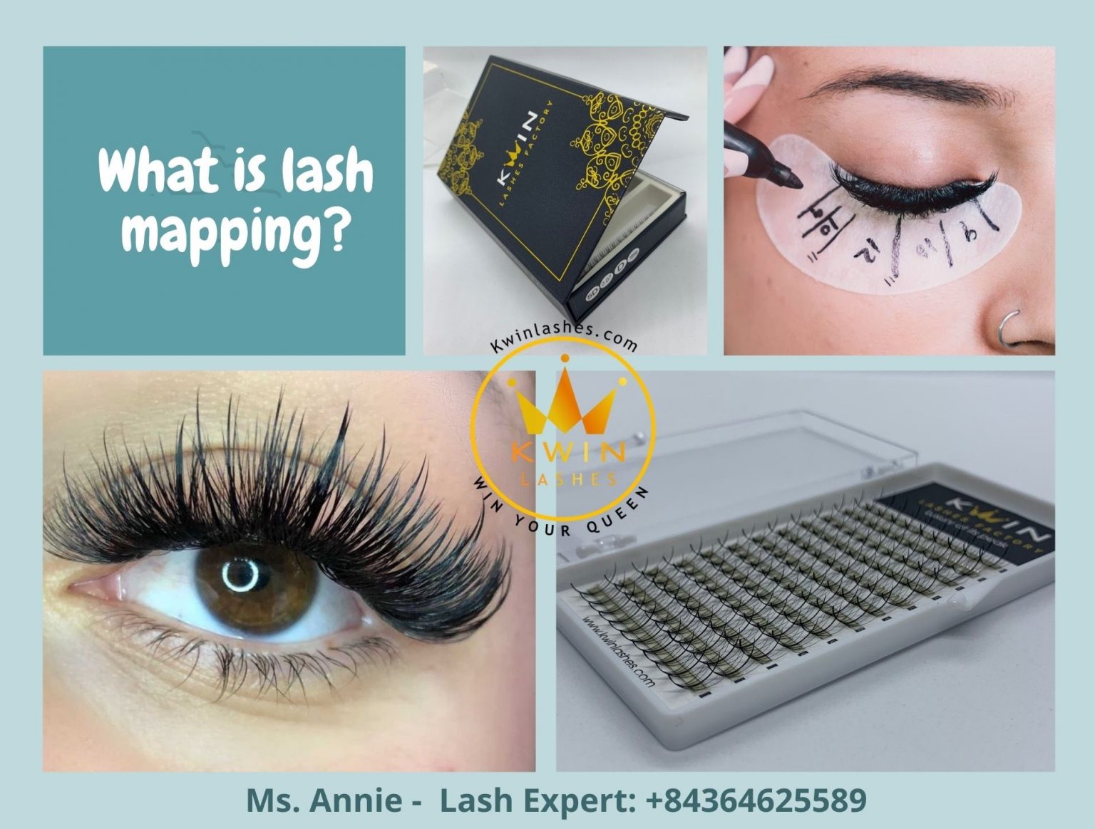 Lash mapping guides for beginners - Kwin Lashes