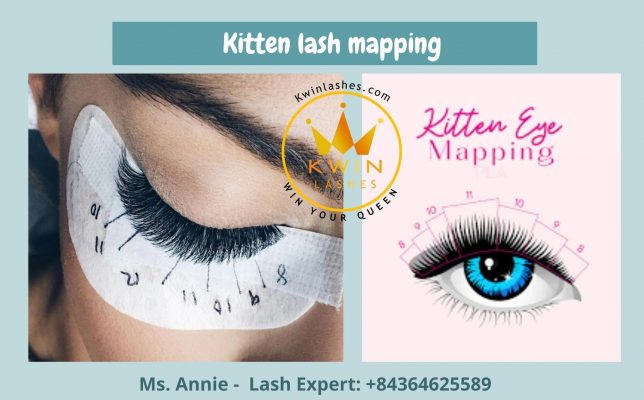 Kitten lash mapping