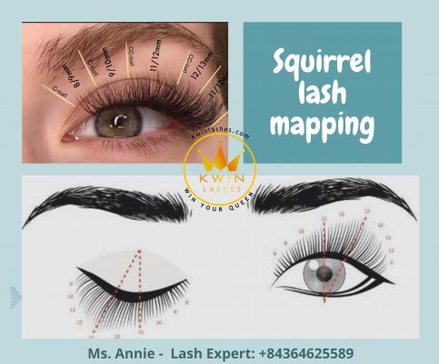 Squirrel lash mapping